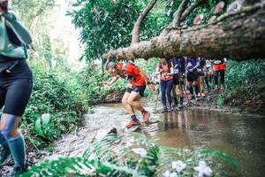 BIB: 
                            <button type="button" onclick="openModal(25477056)" class="btn btn-primary btn-sm float-right btn-popup" data-toggle="modal" data-target=".modal-high-quality">
                        <i class="fas fa-shopping-cart"></i> Add to Cart
                    </button>
                                            <button type="button" onclick="isThisMe(25477056, true)" class="btn btn-success btn-sm float-right btn-popup btn-isme hidden" data-toggle="tooltip" data-placement="bottom" title="นี่คือรูปของคุณใช่ไหม คลิกที่นี่เพื่อเอาเข้าอัลบั้ม">
                        <i class="fas fa-plus"></i> Add to album
                    </button>
                    <button type="button" onclick="isThisMe(25477056, false)" class="btn btn-warning btn-sm float-right btn-popup btn-isnotme hidden">
                        <i class="fas fa-ban"></i> Remove from album
                    </button>